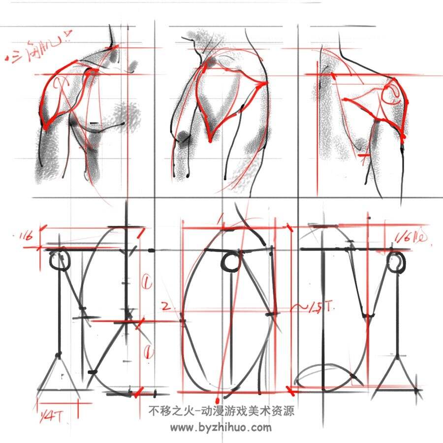 人体解剖系列 绘画专用素材 百度网盘下载 302P