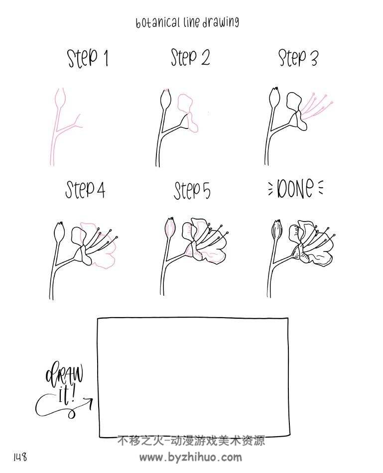 Botanical Line Drawing 200 Step-by-Step Flowers 植物线描涂鸦200种 百度网盘下载