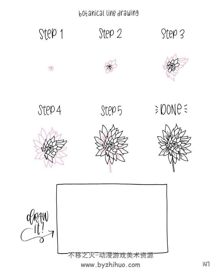 Botanical Line Drawing 200 Step-by-Step Flowers 植物线描涂鸦200种 百度网盘下载