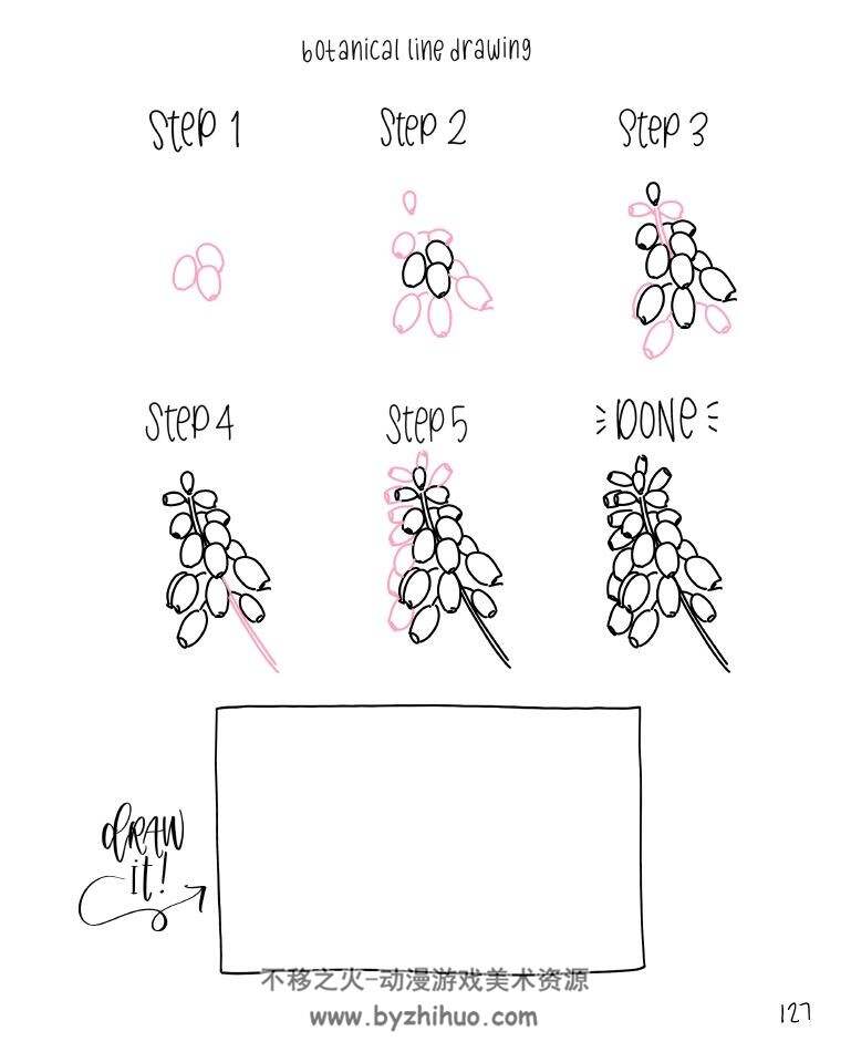 Botanical Line Drawing 200 Step-by-Step Flowers 植物线描涂鸦200种 百度网盘下载