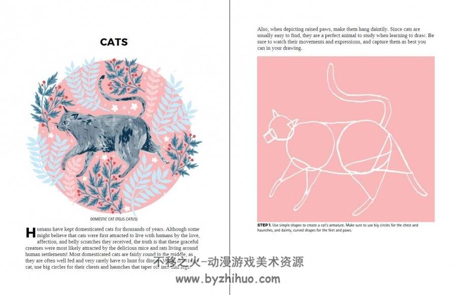 哈里·戈德霍克&赞纳·戈德霍克 生物花园-美丽野兽与虚构动物的插画家指南