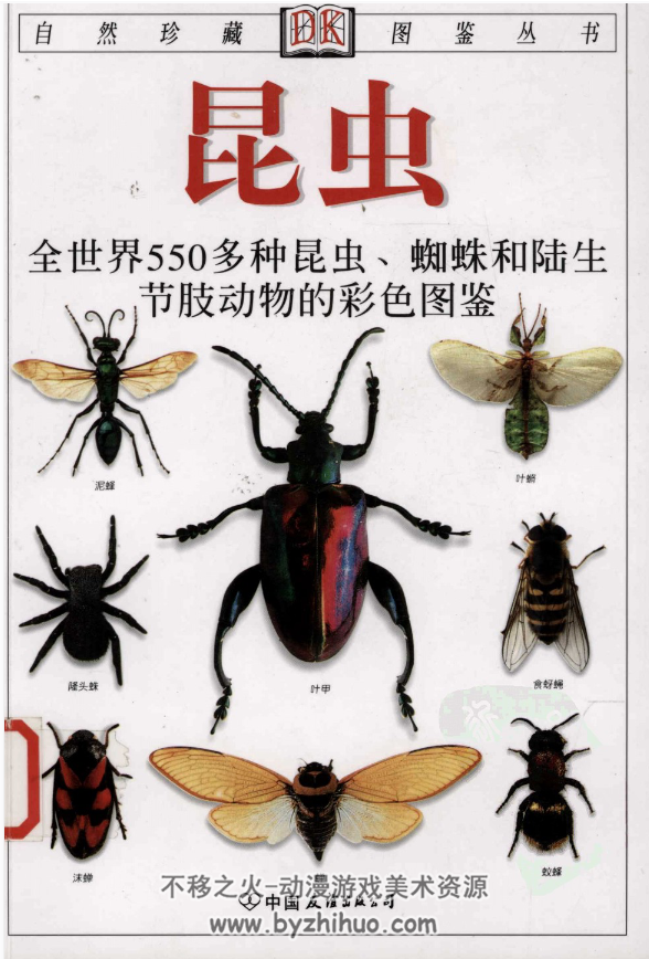 动物昆虫 百科图鉴合集 百度网盘下载参考