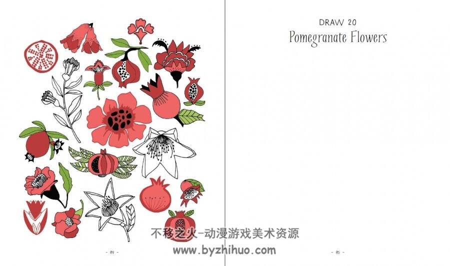 丽莎·康登 20种画法 郁金香和其他44种奇妙花朵 百度网盘下载