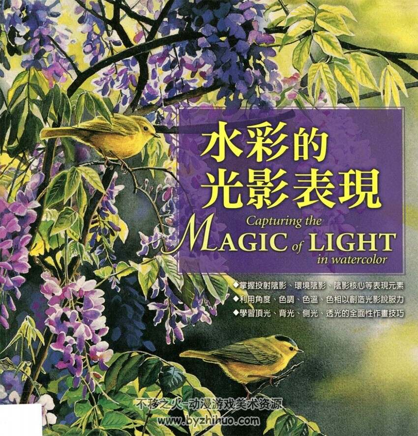 水彩的光影表现 美术绘画素材参考 百度网盘下载