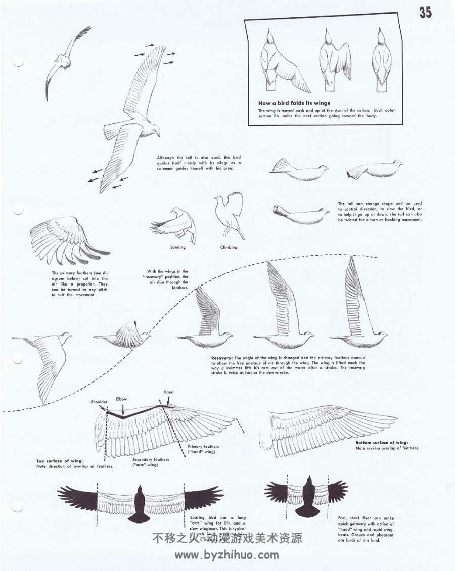 Famous Art Course 著名绘画课程 整套24部全收录 pdf/562M