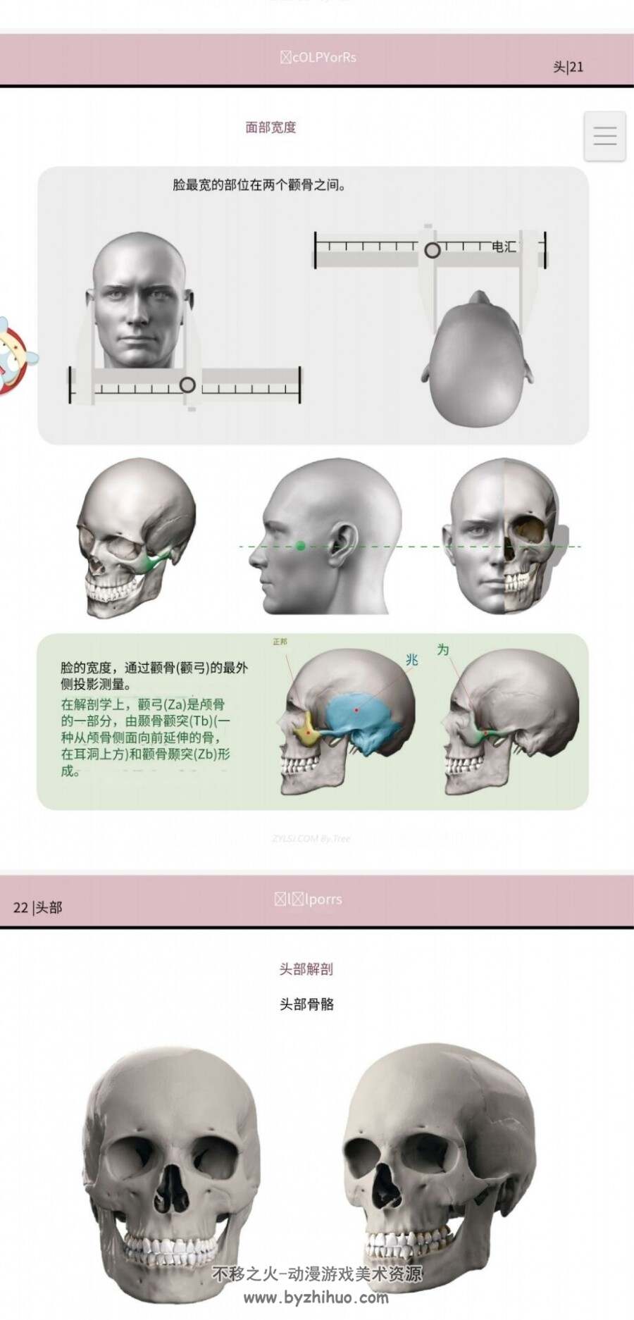 艺用解剖Anatomy 3本PDF 百度网盘下载