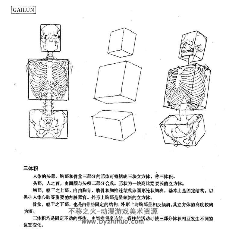 人体造型基础 沈兆荣编著人体书 PDF格式 百度网盘下载