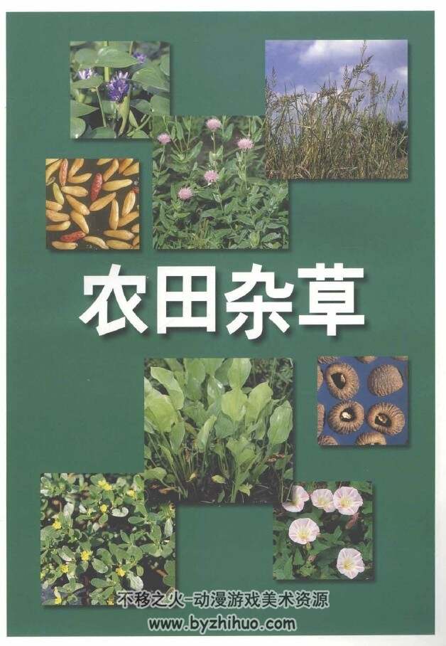 杂草图鉴 植物资料 百度网盘下载参考