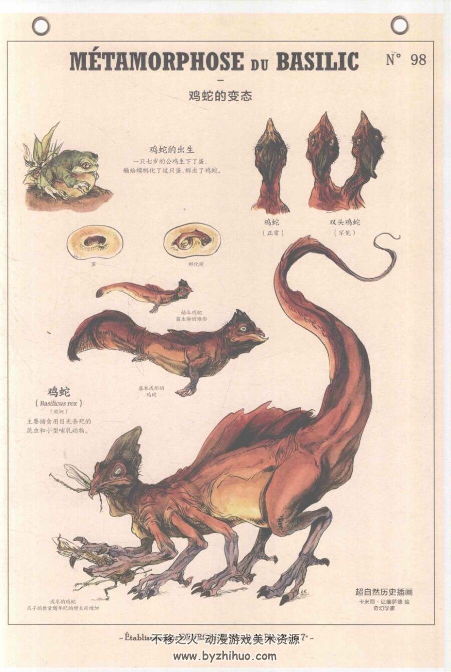 博物学家的神秘动物图鉴 百度网盘下载赏析