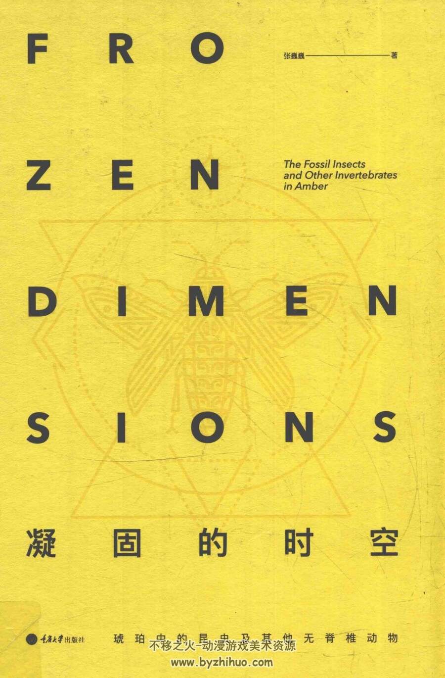 凝固的时空-琥珀中的昆虫及其他无脊椎动物 百度网盘下载赏析