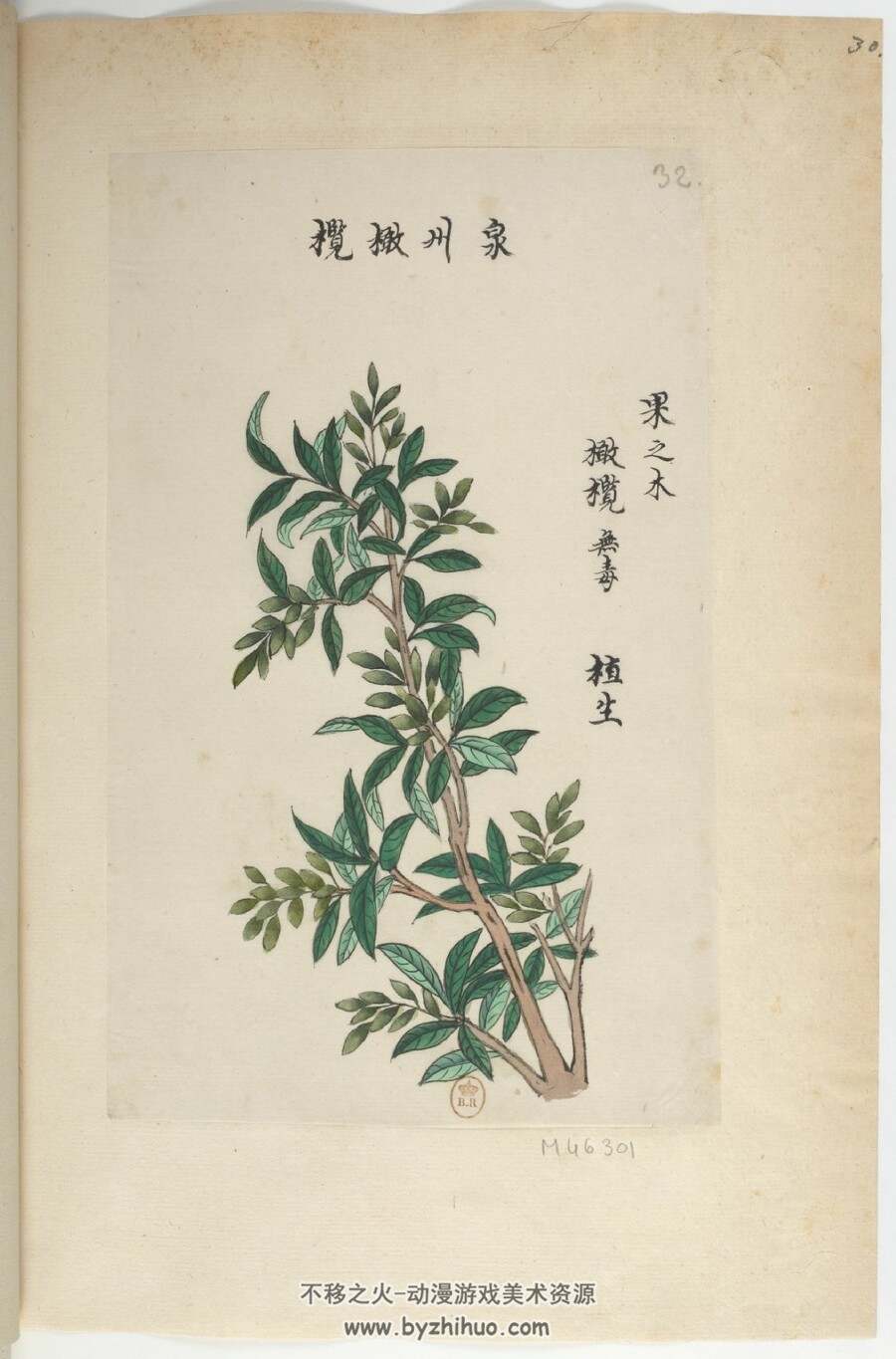 中国自然历史绘画 五卷写本 百度网盘下载