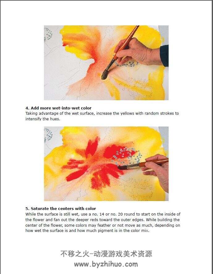 Birgit O’Connor - Paint Watercolor Flowers_ A Beginner’s Step-By-Step Guide-Nort