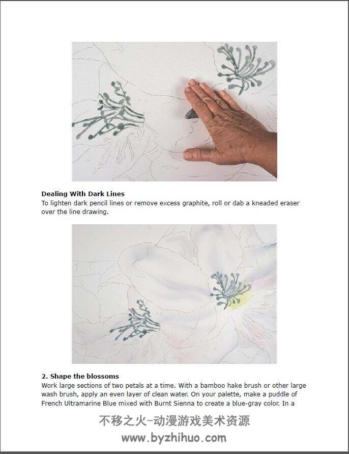 Birgit O’Connor - Paint Watercolor Flowers_ A Beginner’s Step-By-Step Guide-Nort