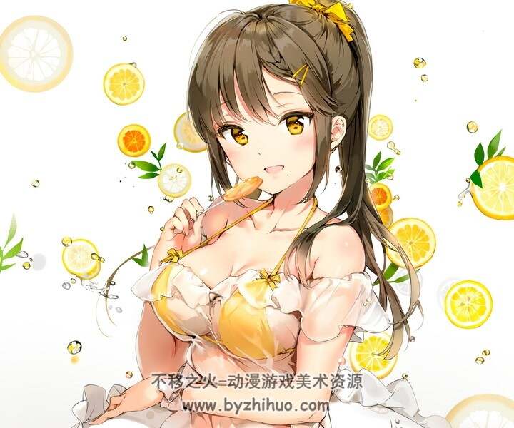 p站画师anmi插画合集视频教程psd105g2460个文件