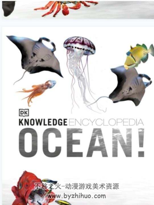 海洋动物百科全书高清 DK Knowledge Encyclopedia Ocean! 百度网盘下载