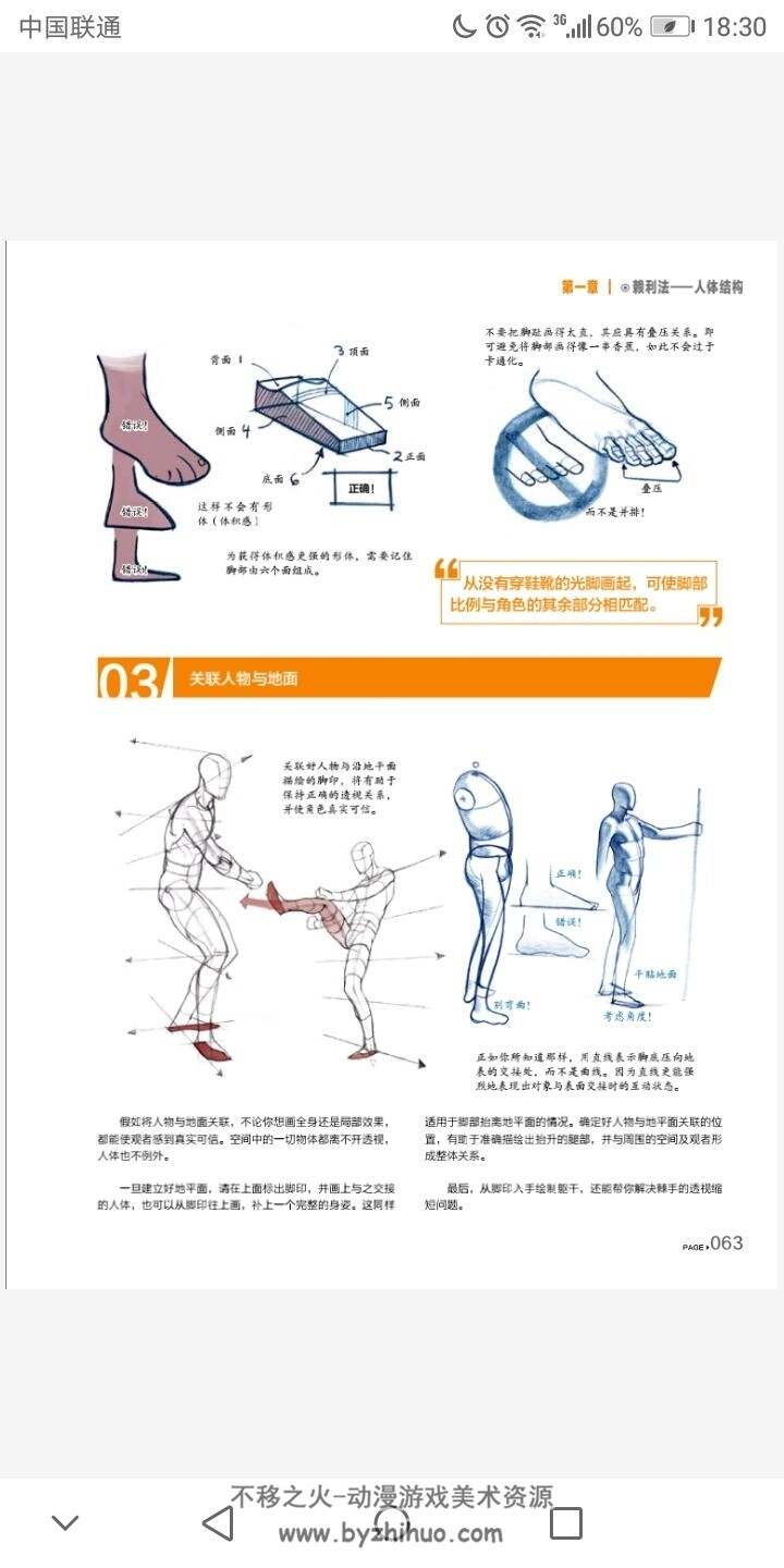 赖利法 人体已动物结构 试读PDF格式 百度网盘下载