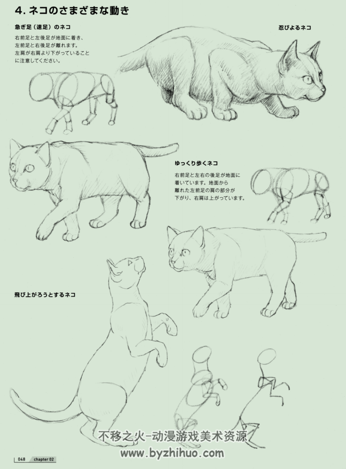 獣医さんがえがいた動物の描き方 動物の描き方 百度网盘 70.1MB 177P