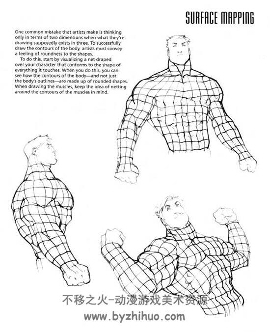 美式人体结构 绘画素材图集参考 百度网盘下载