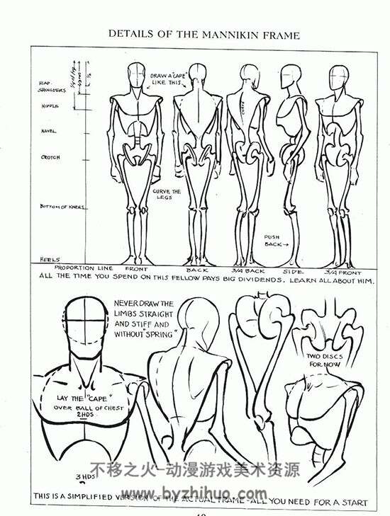 美式人体结构 绘画素材图集参考 百度网盘下载