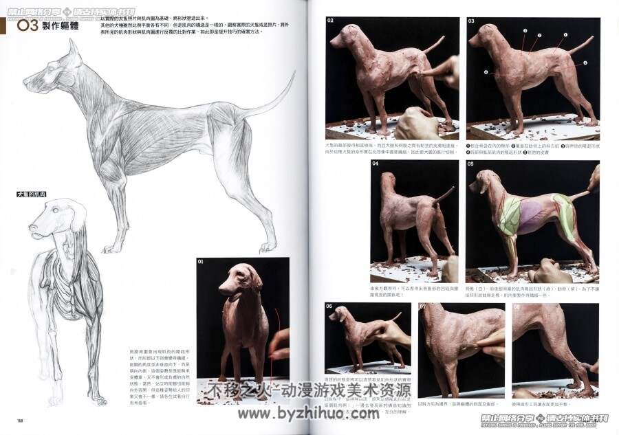 动物雕塑模型教程 美术解刨学 百度网盘下载