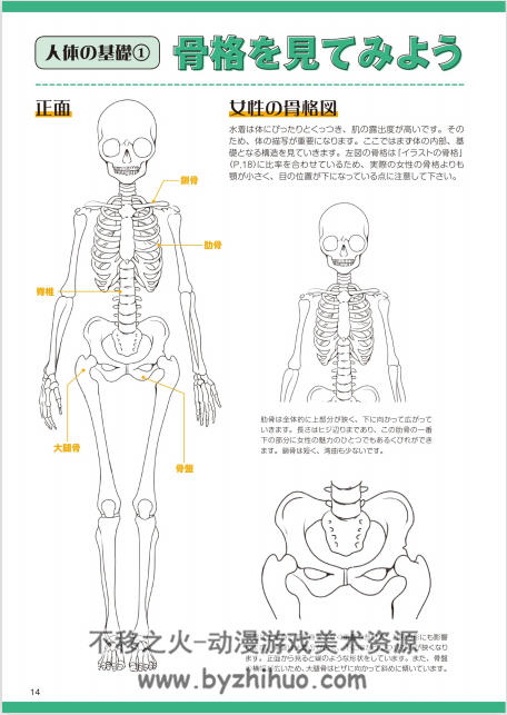 玄光社 水着の描き方 泳装的描绘技法 百度网盘分享