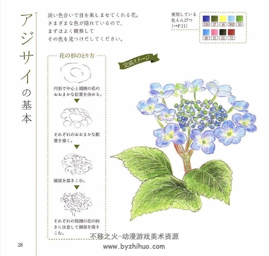 色えんぴつでかんたん愛らしい花と草木たち 花卉草木的绮丽世界 百度云