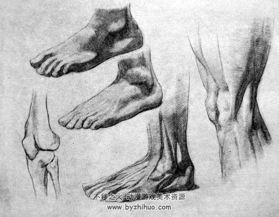 人体动态速写+骨骼肌肉参考合集 美术素材整理 百度网盘