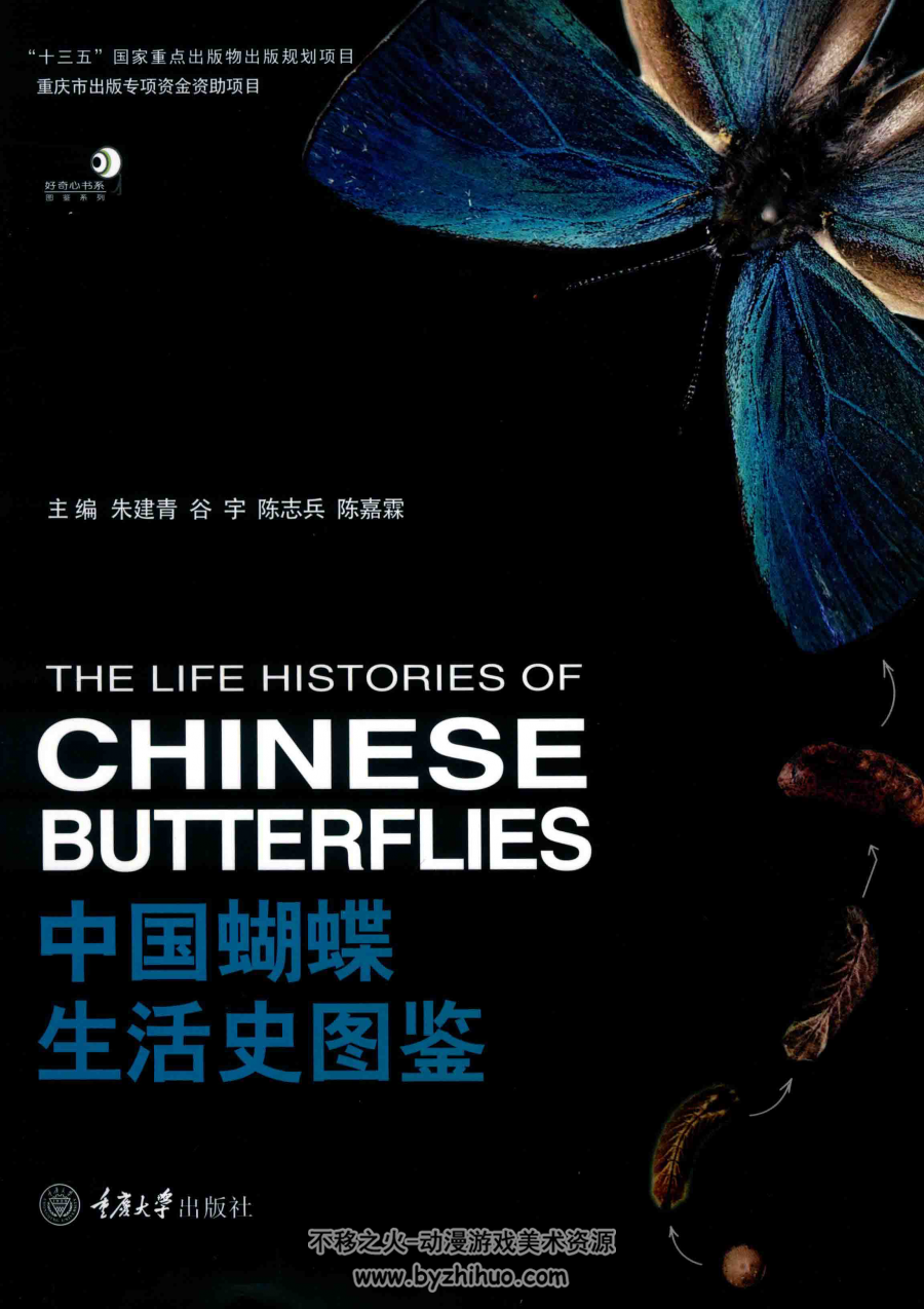 中国蝴蝶生活史图鉴 PDF格式 百度网盘下载