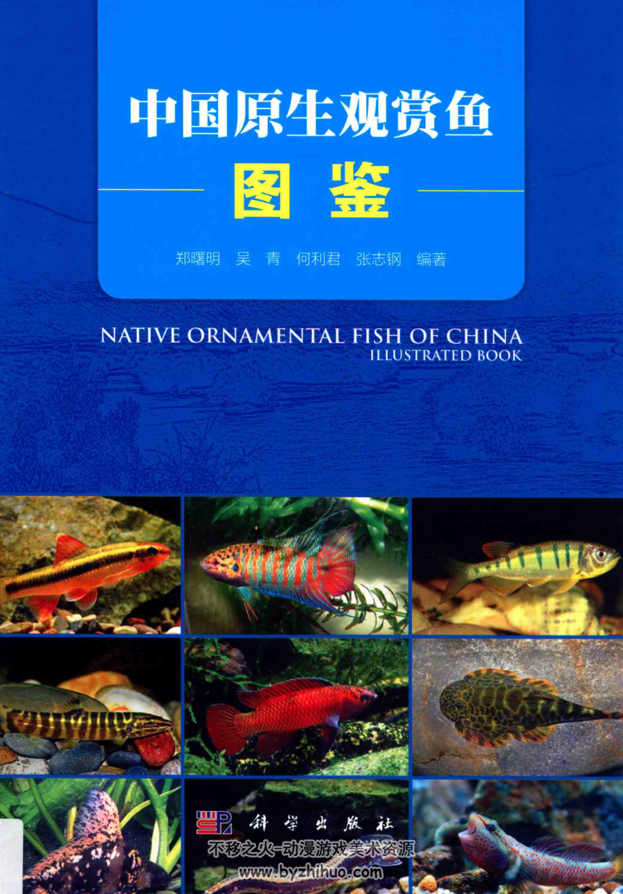 中国原生观赏鱼图鉴 PDF格式 百度网盘下载