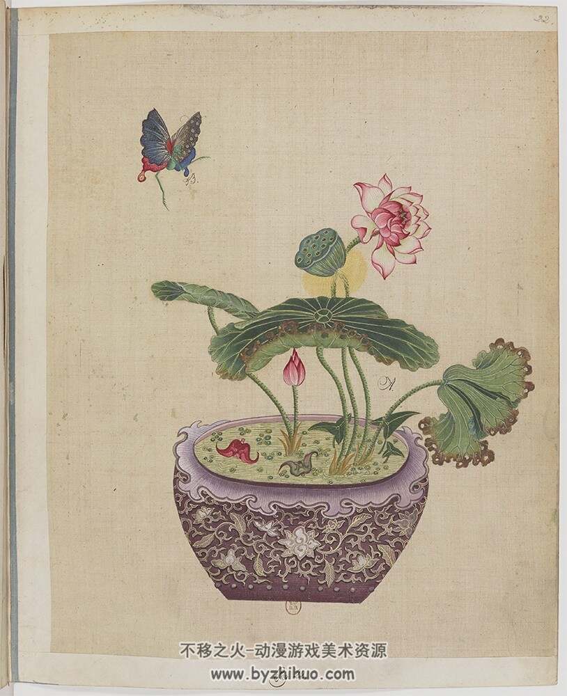 盆景花鸟图册.Fleurs.oiseaux et insectes.两卷.外销画.约18世纪百度网 