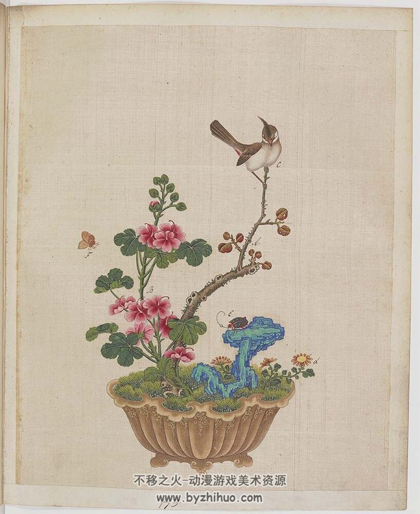 盆景花鸟图册.Fleurs.oiseaux et insectes.两卷.外销画.约18世纪 百度网盘/阿里云盘