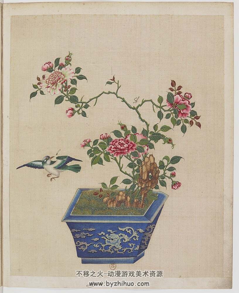 盆景花鸟图册.Fleurs.oiseaux et insectes.两卷.外销画.约18世纪 百度网盘/阿里云盘