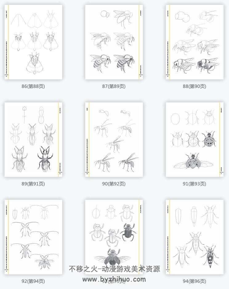 Draw Like an Artist 100系列 人物、动物、植物、奇幻角色、建筑等绘画方法 度盘