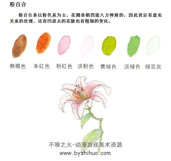 一日一画·水彩——花卉 水彩图文教程 mobi格式 百度网盘下载