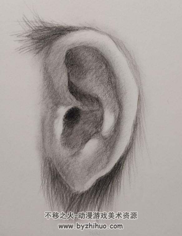 素描练习 耳朵