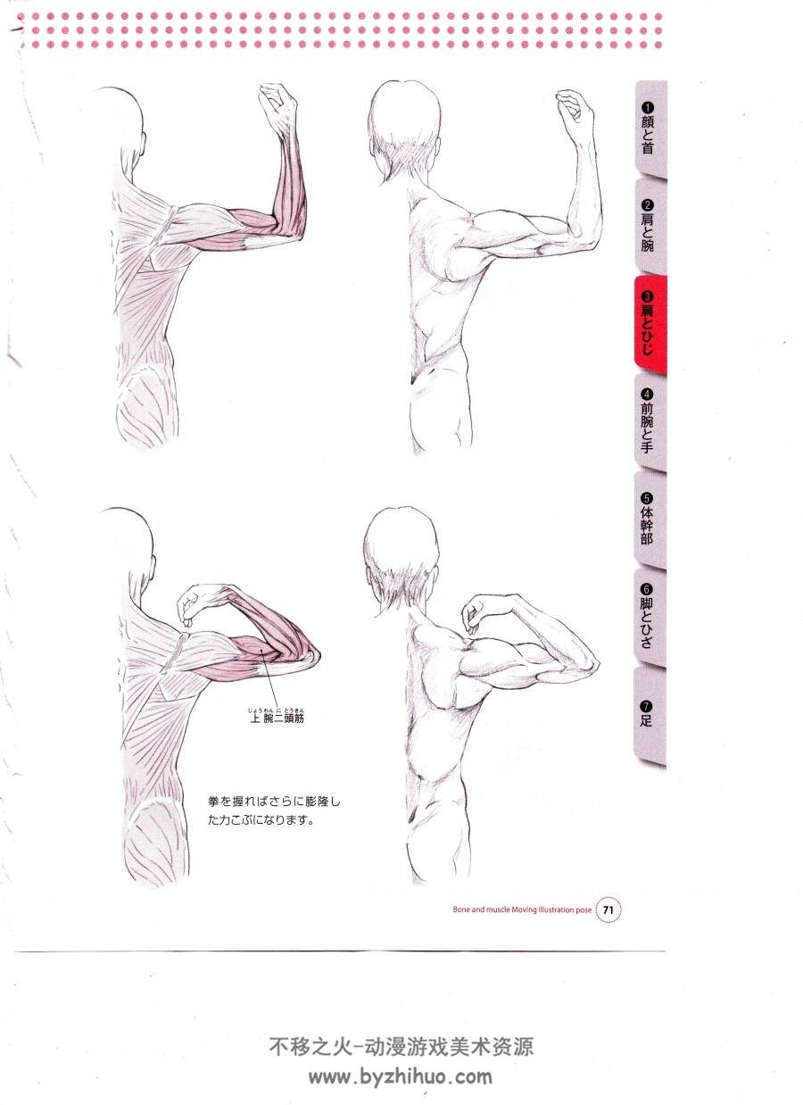 骨骼肌肉运动 电子书 日文版 百度网盘下载 129P