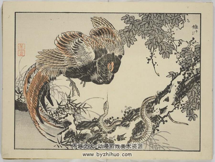 梅岭百鸟画谱+续编.梅岭画谱.梅岭画鉴.幸野梅岭绘 PDF 百度网盘/阿里云盘