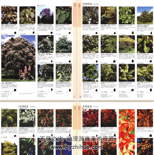DK 世界园林植物与花卉百科全书 英 克里斯托弗·布里克尔 中文版 百度云