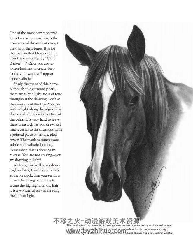 马的画法 Draw.Horses 百度网盘下载