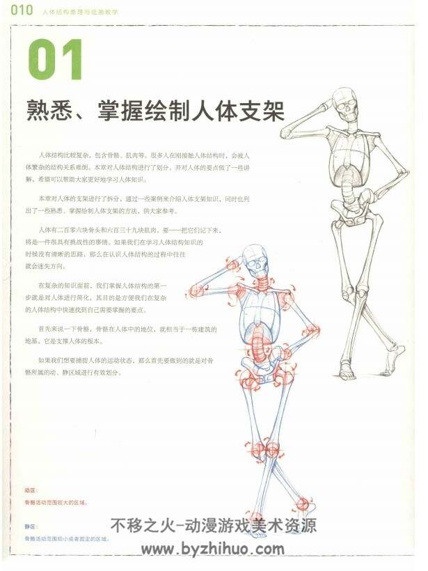 人体结构 美术绘画教学 PDF格式 百度网盘下载