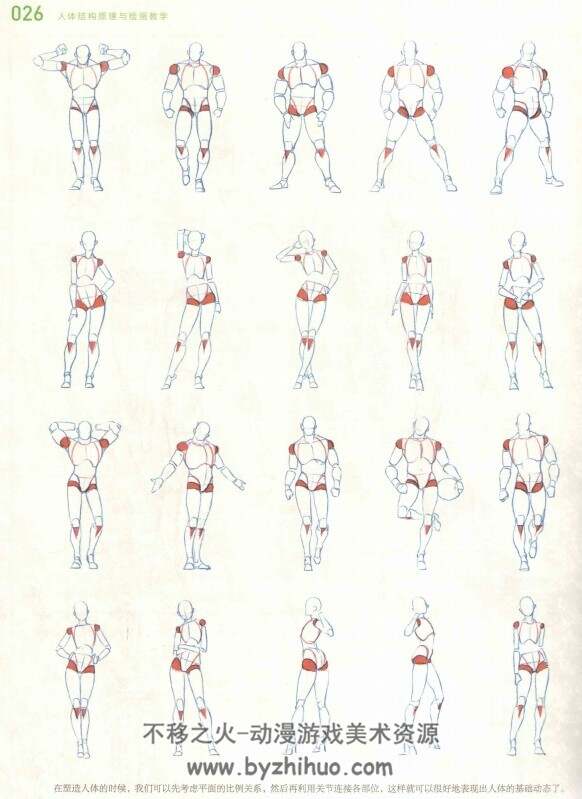 人体结构绘画教学 最新版 Amazon.com: 伯里曼人体结构绘画教学(彩色版): 9787549420513