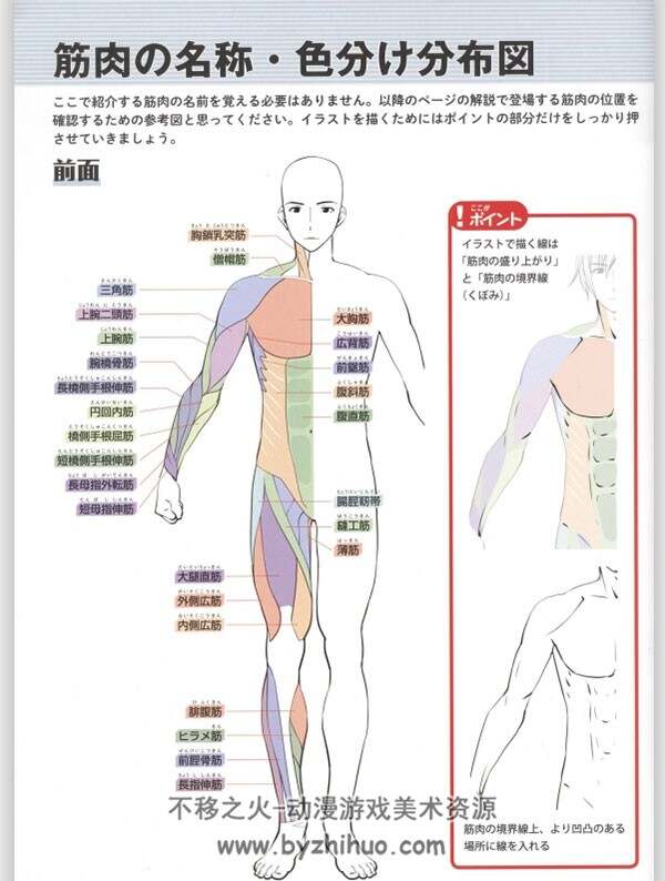 男性肌肉画法姿势集锦 PDF格式 百度网盘下载