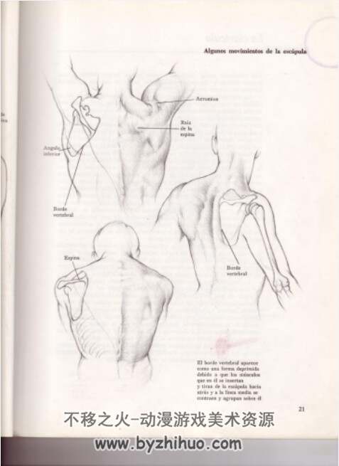 人体解剖素描 dibujo.anatómico.de.la.figura.humana PDF 百度盘 142P