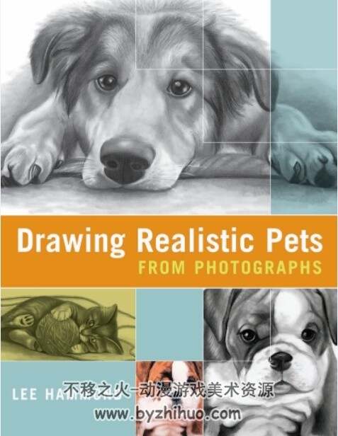 写实宠物绘画 Drawing Realistic Pets PDF 百度网盘130P