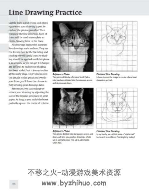 写实宠物绘画 Drawing Realistic Pets PDF 百度网盘130P