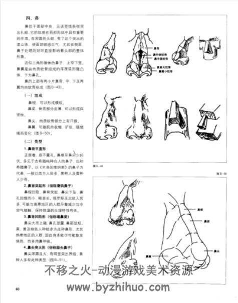 美术艺用造型解剖学 PDF格式 百度网盘下载 215P