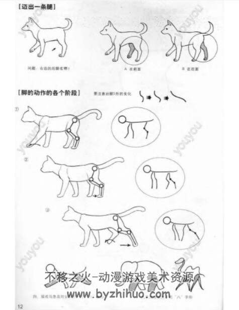 卡通漫画绘画技法 动物的画法 PDF格式 百度盘 138P