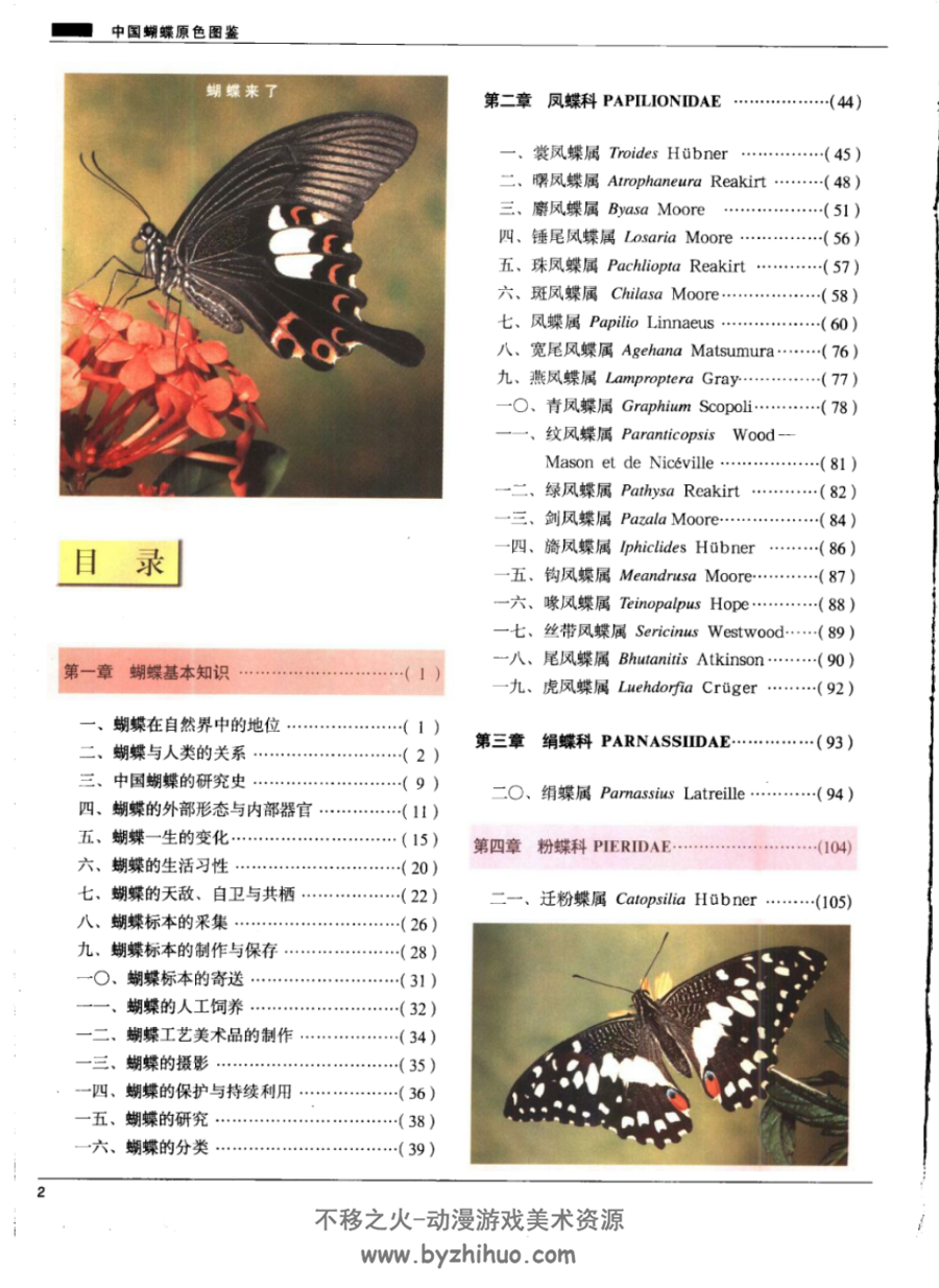 中国蝴蝶原色图鉴 PDF格式 百度网盘