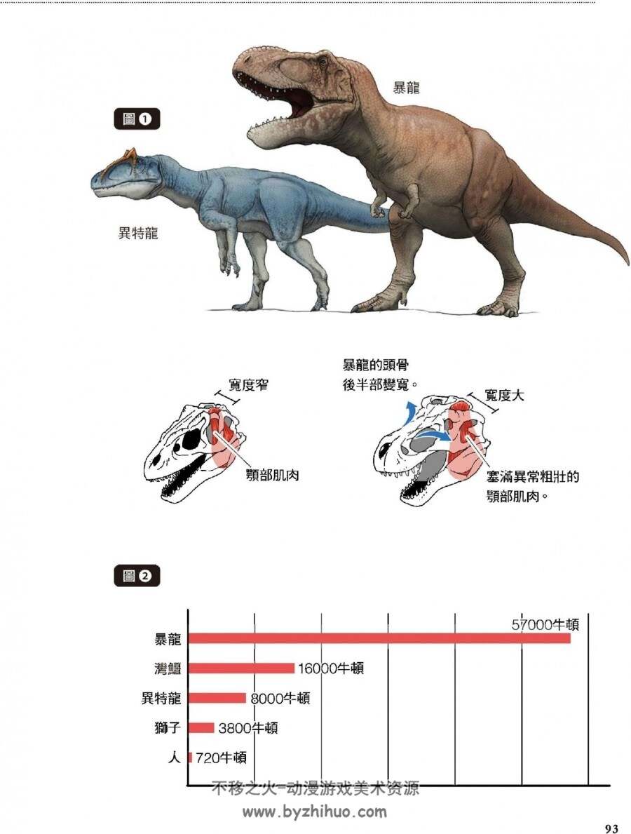 超猎奇！人体动物图鉴②鲨鱼的下巴会往前飞出 jpg/pdf 百度网盘/阿里云盘