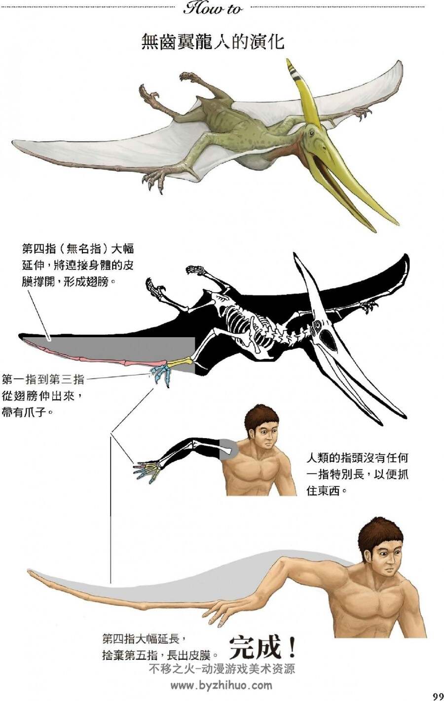 超猎奇！人体动物图鉴②鲨鱼的下巴会往前飞出 jpg/pdf 百度网盘/阿里云盘
